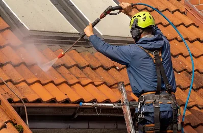 Démoussage et hydrofuge de toiture à Trépail